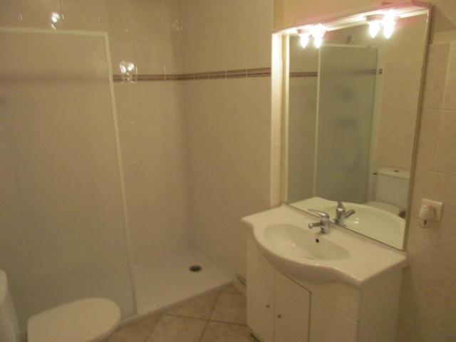 Location appartement T2 Hauterives - Photo 4