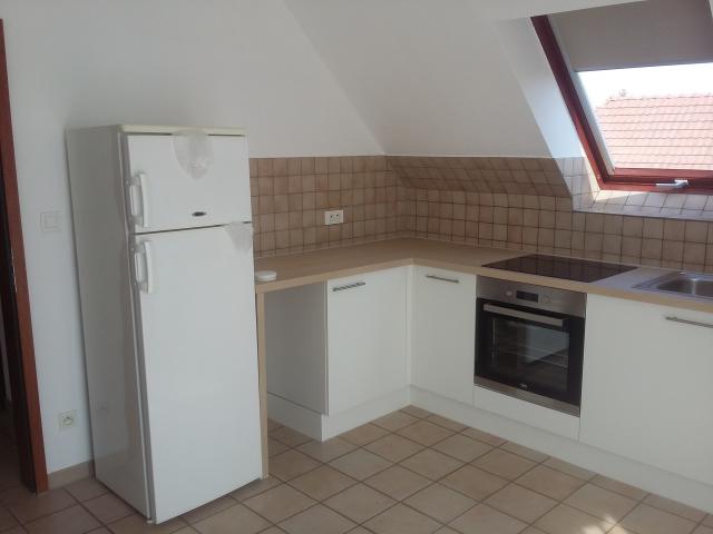 Location appartement T2 Herrlisheim Pres Colmar - Photo 3