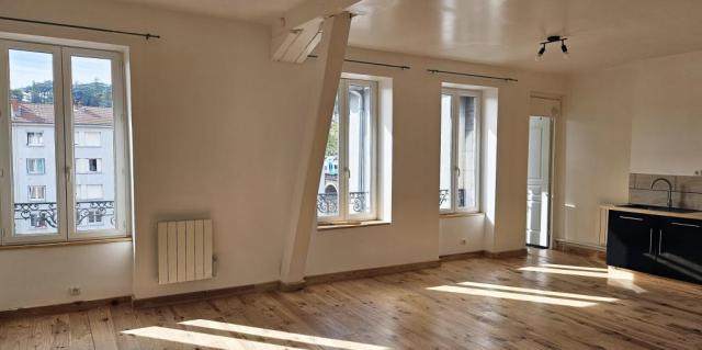 Location appartement T2 St Etienne - Photo 3