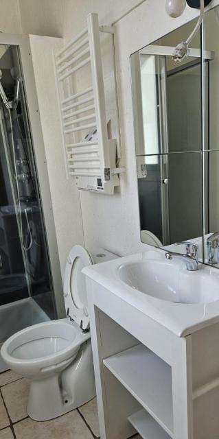 Location appartement T2 St Etienne - Photo 6