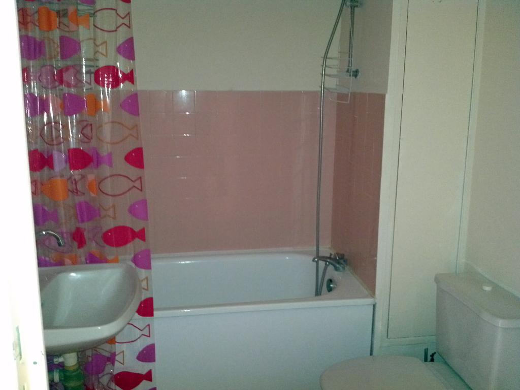 Location appartement T1 Croix - Photo 3