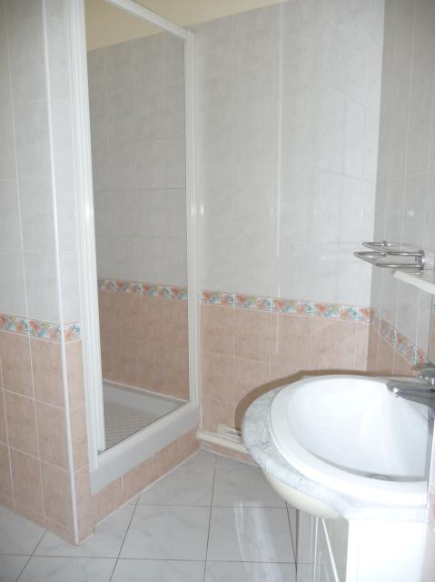 Location appartement T2 Sens - Photo 3