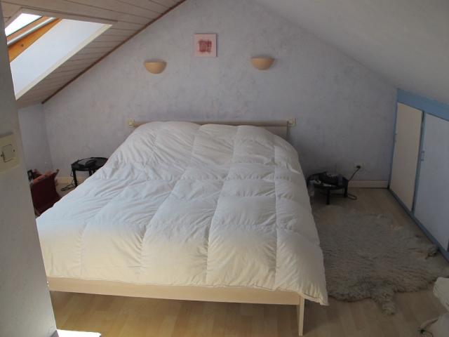 Location appartement T3 Mulhouse - Photo 4
