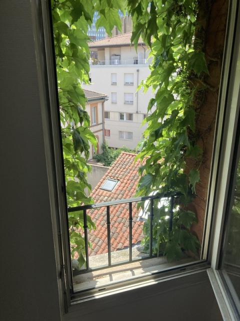 Location appartement T2 Toulouse - Photo 5