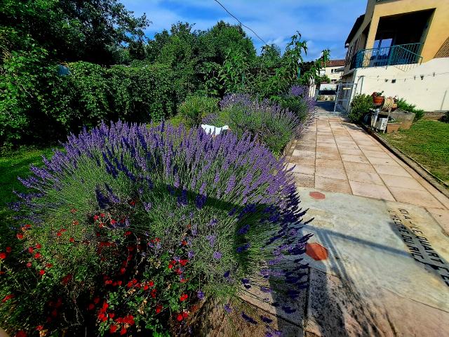 Location maison F3 Lezan - Photo 7