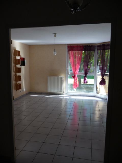 Location appartement T3 Grenoble - Photo 2
