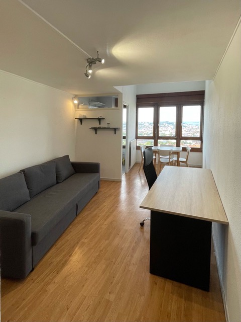 Location appartement T2 Vandoeuvre les Nancy - Photo 2
