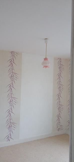 Location appartement T3 Garchizy - Photo 7