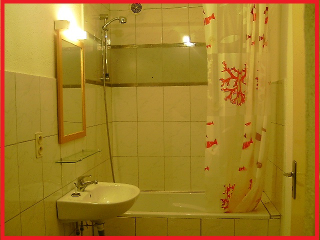 Location appartement T3 Vecoux - Photo 2