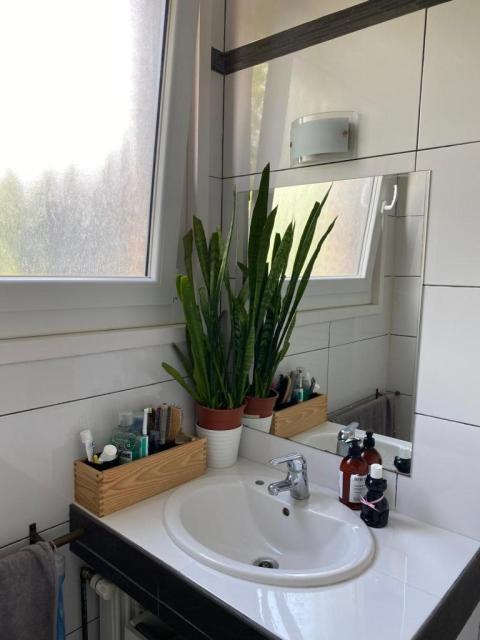 Location appartement T3 Roubaix - Photo 5
