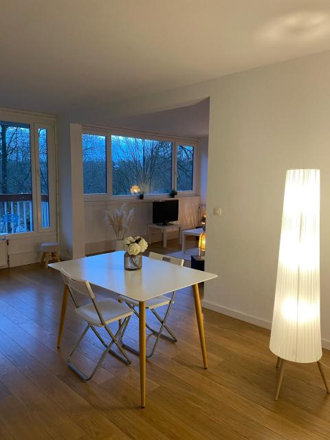 Location appartement T3 Roubaix - Photo 9