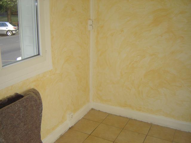 Location appartement T3 Grenoble - Photo 3