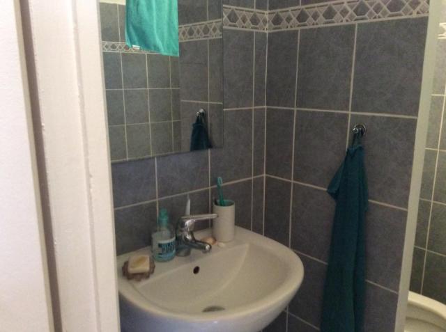 Location appartement T2 Lyon 6 - Photo 3