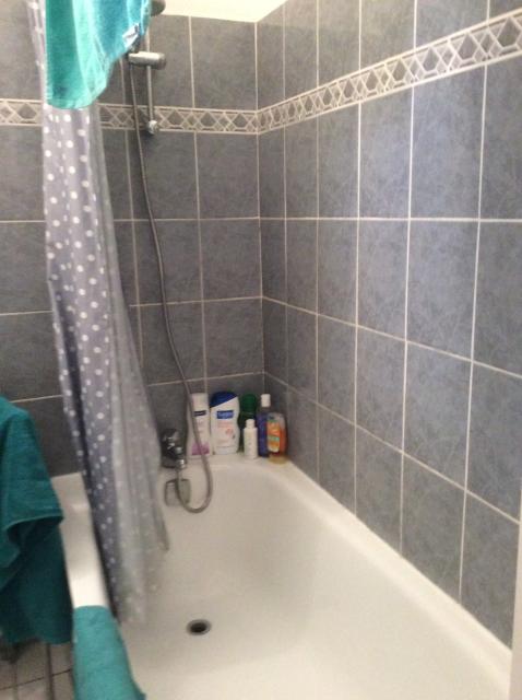 Location appartement T2 Lyon 6 - Photo 5
