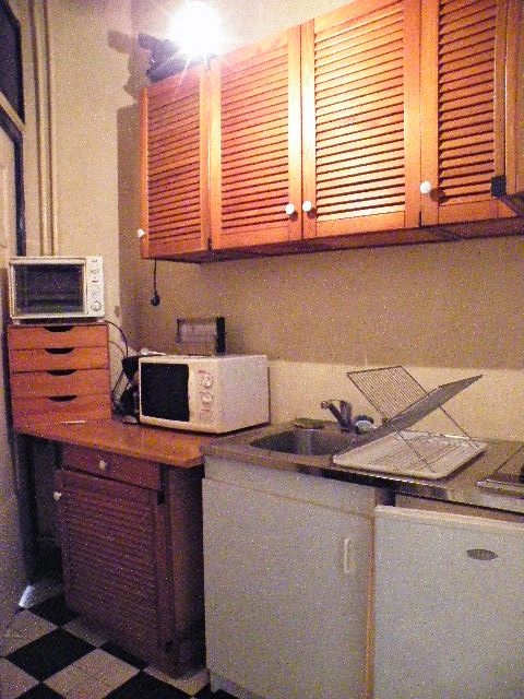 Location appartement T3 Lyon 2 - Photo 3
