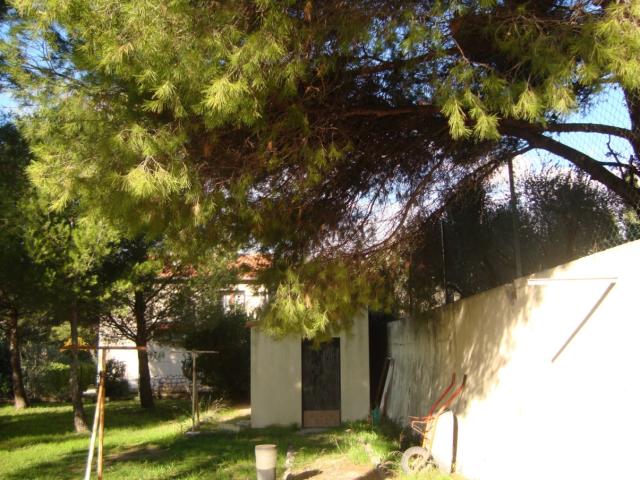 Location appartement T5 Marseille 13 - Photo 9