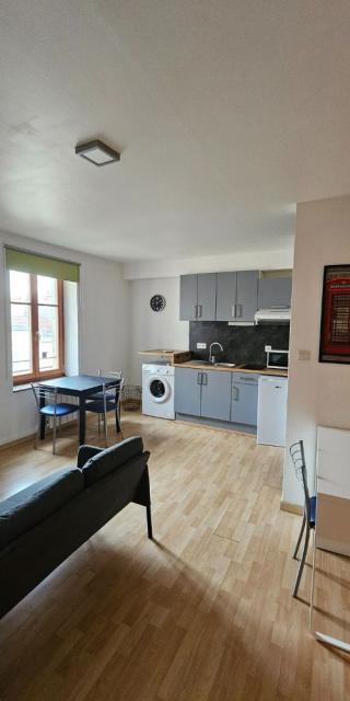 Location appartement T2 Nancy - Photo 9