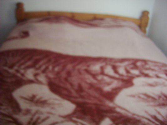 Location appartement T2 Nice - Photo 4