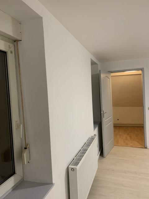 Location appartement T2 Sarrebourg - Photo 4