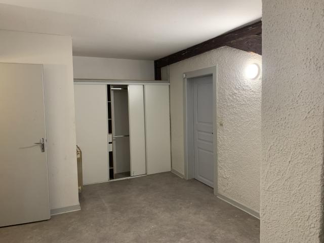 Location appartement T2 Sarrebourg - Photo 6