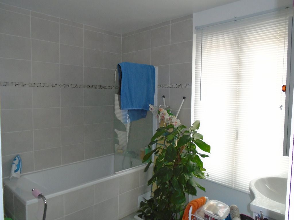 Location appartement T3 Villeneuve sous Dammartin - Photo 4
