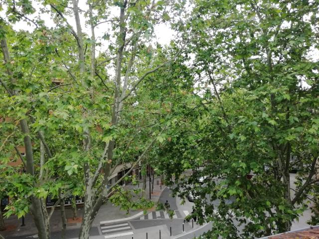 Location appartement T2 Toulouse - Photo 5