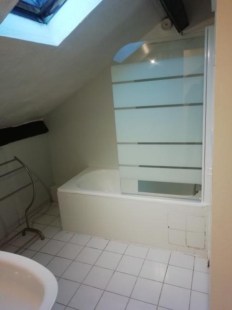 Location appartement T2 Toulouse - Photo 10