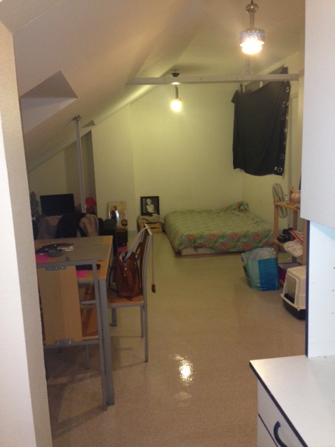 Location appartement T1 Poitiers - Photo 2