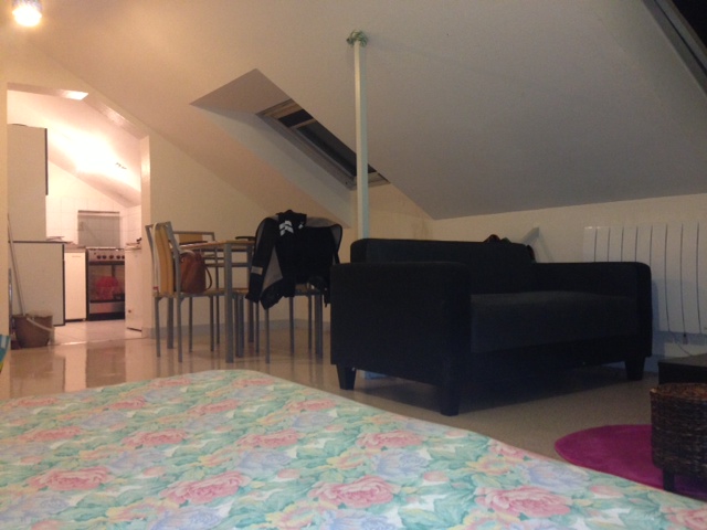 Location appartement T1 Poitiers - Photo 3