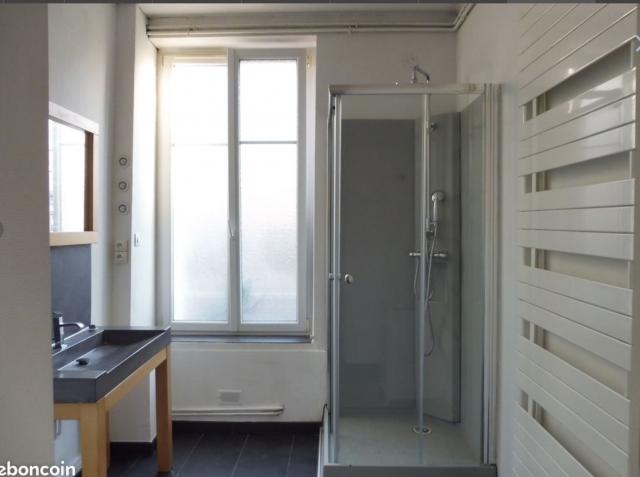 Location appartement T2 Nancy - Photo 3