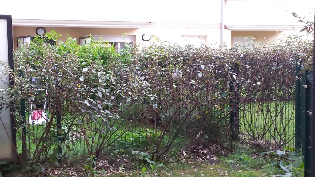 Location appartement T3 Neuilly sur Marne - Photo 2