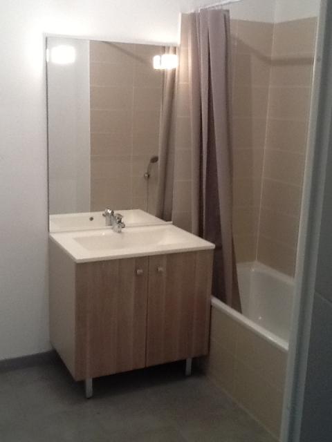 Location appartement T3 Toulouse - Photo 6
