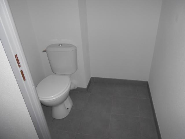 Location appartement T3 Toulouse - Photo 8