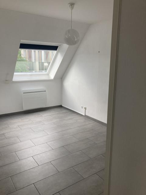 Location appartement T2 Colmar - Photo 2
