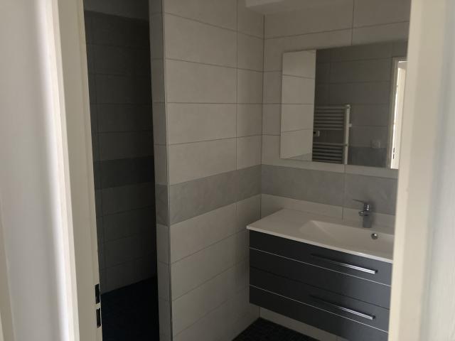Location appartement T2 Colmar - Photo 4