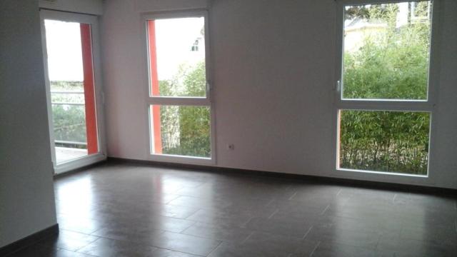 Location appartement T3 Strasbourg - Photo 3