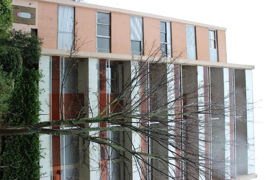 Location appartement T2 Toulouse - Photo 2