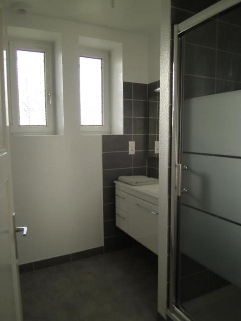 Location appartement T4 Haguenau - Photo 2