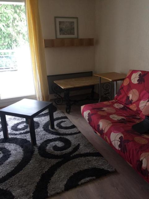 Location appartement T1 Hoenheim - Photo 3