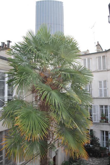Location studio Paris 15 - Photo 7