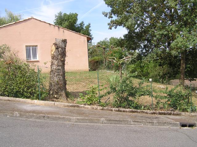 Location maison F4 Montaigut sur Save - Photo 4