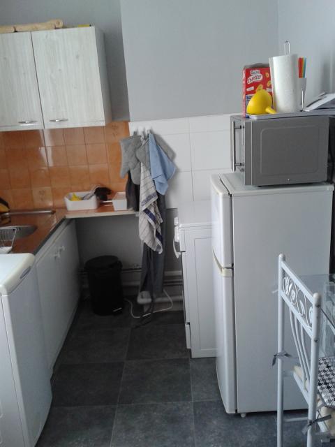 Location appartement T2 Lyon 3 - Photo 2