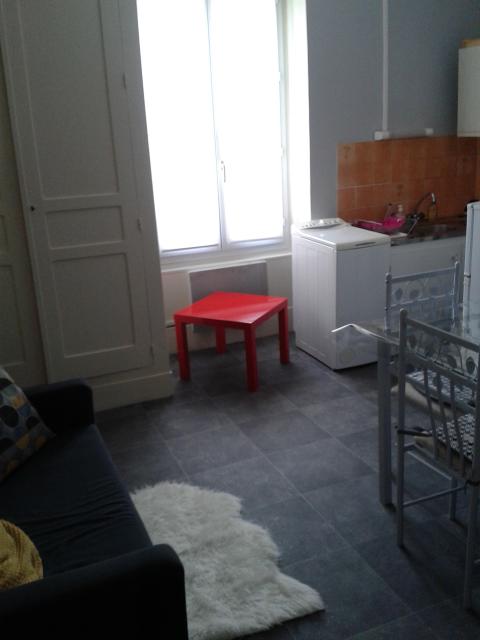 Location appartement T2 Lyon 3 - Photo 4