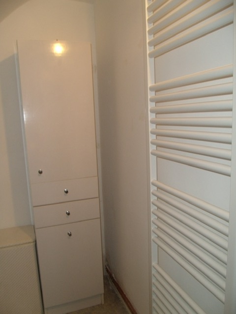 Location studio St Mathurin sur Loire - Photo 9