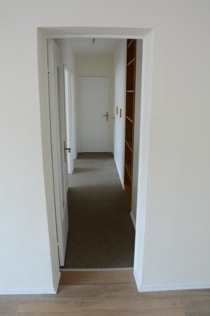 Location appartement T3 Strasbourg - Photo 2