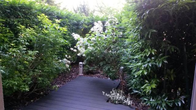 Location studio Lyon 5 - Photo 2