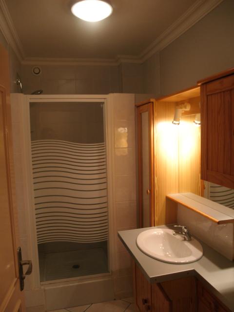 Location appartement T3 Laval - Photo 3