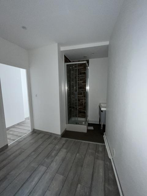 Location appartement T2 Metz - Photo 6