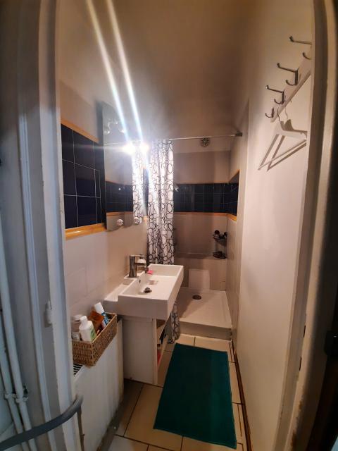 Location appartement T2 Lyon 3 - Photo 4