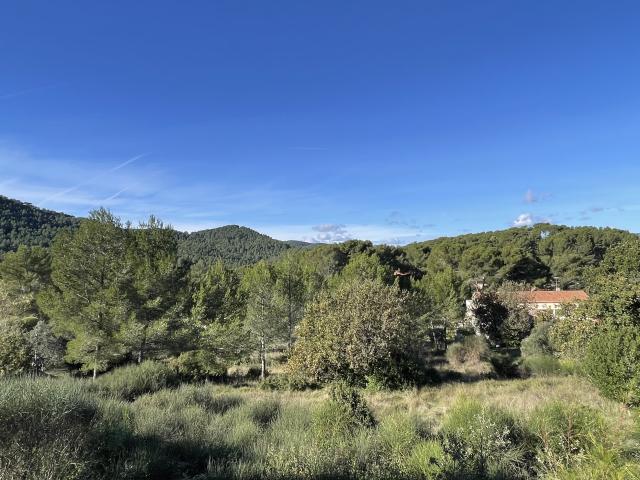 Location maison F4 Hyeres - Photo 4